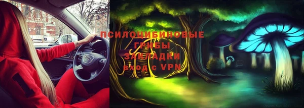 МДПВ Бронницы
