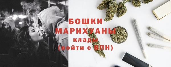 прущие крисы Бородино