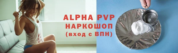 прущие крисы Бородино