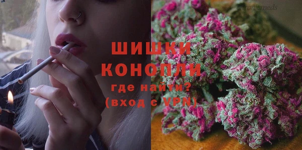 прущие крисы Бородино