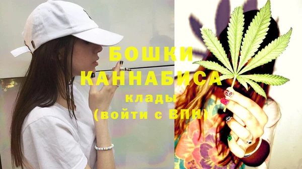 МДПВ Бронницы
