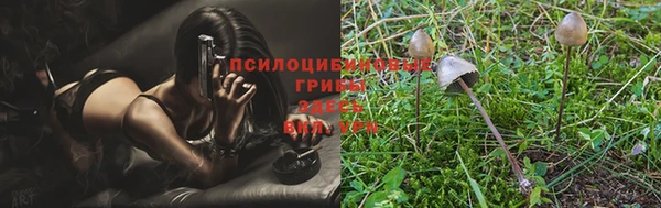 МДПВ Бронницы