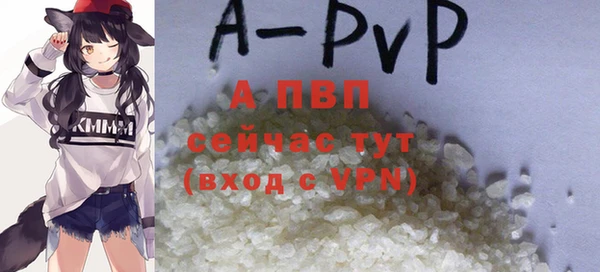 прущие крисы Бородино