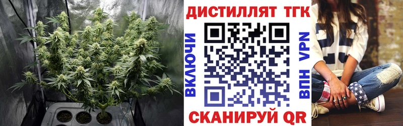 ТГК THC oil  Купить где  Гурьевск 