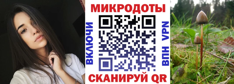Купить где  Гурьевск  Галлюциногенные грибы прущие грибы 
